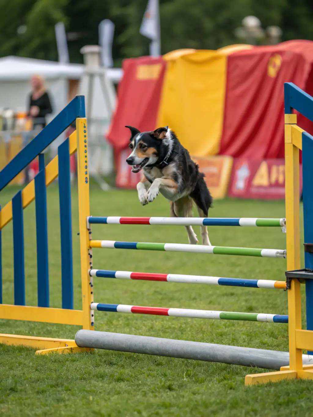 A border collie successfully navigating an agility course during an advanced skills training session at The Wag Masters Austin, showcasing its speed and precision.